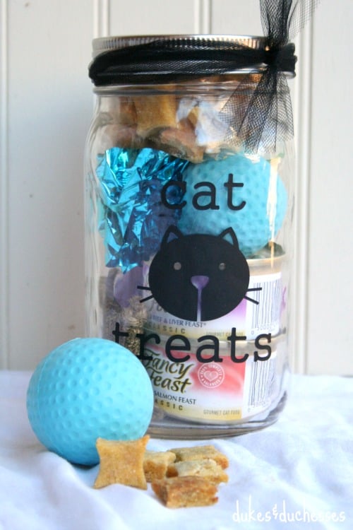 A Mason Jar Gift for a Cat Lover next to a blue ball and cookies