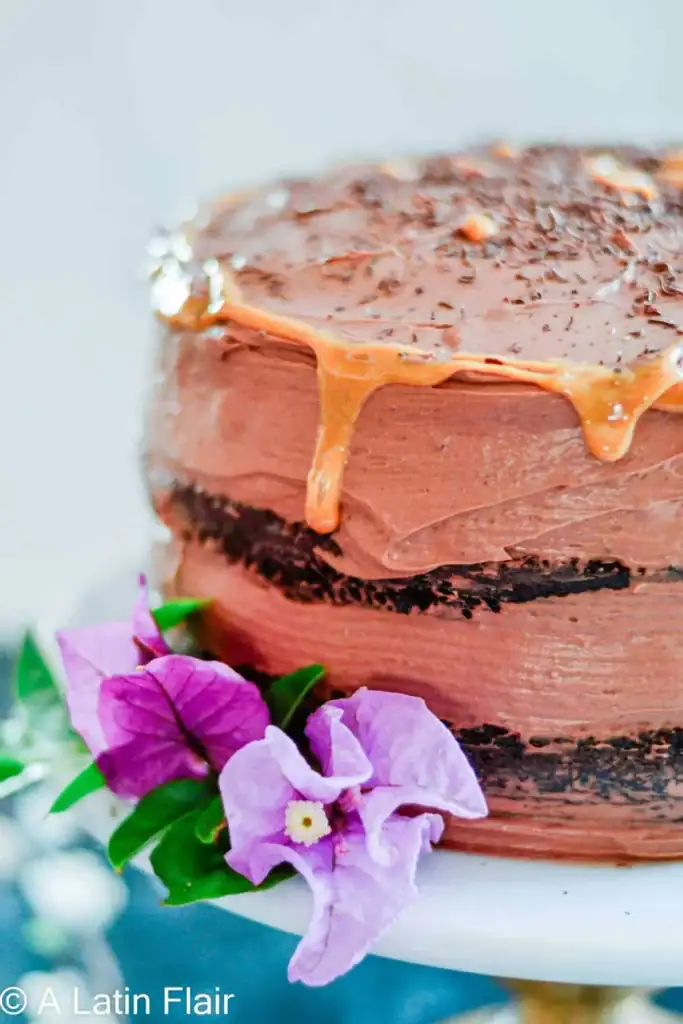 Chocolate cake with cream cheese frosting layered and sliced on a plate